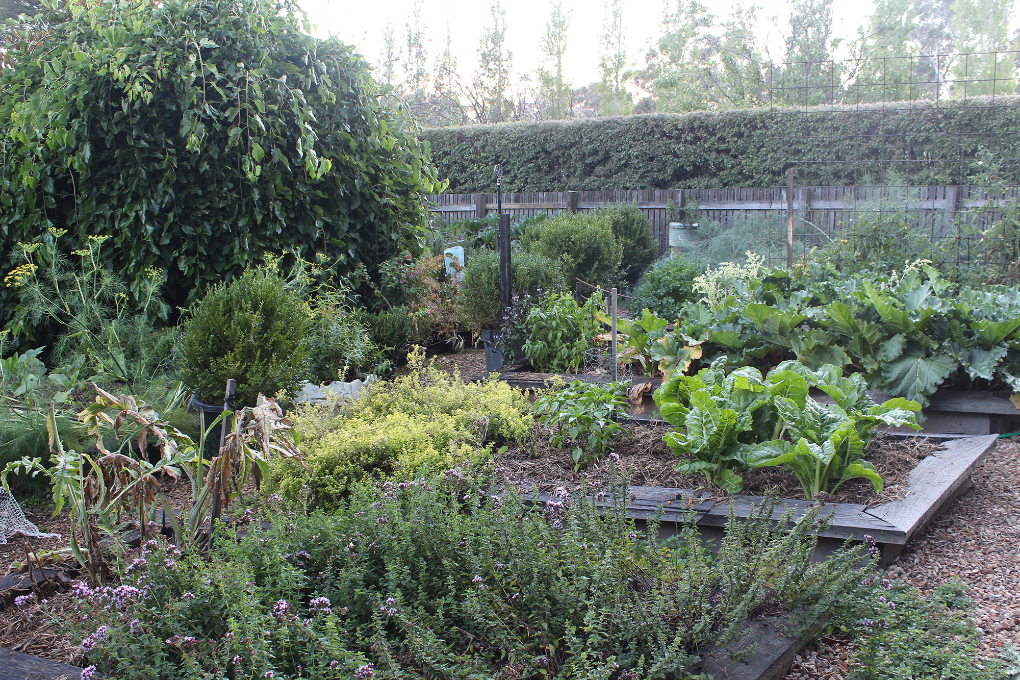 Heather's Garden Kitchen